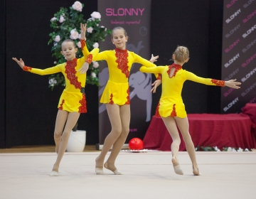 Slonny Cup 2014