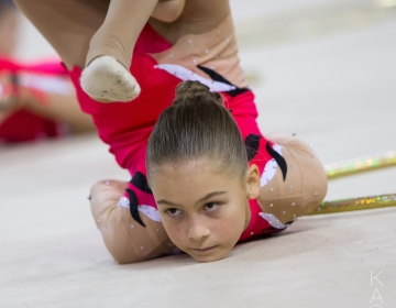 EEVL KV VAHENDIGA RÜHMKAVADES 2015