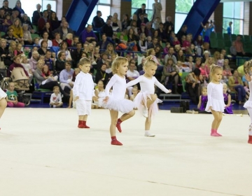 Pirueti Kevadkontsert 2014