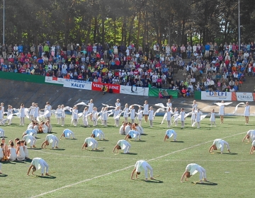 Tallinna XVI Võimlemispidu 1.juunil 2014