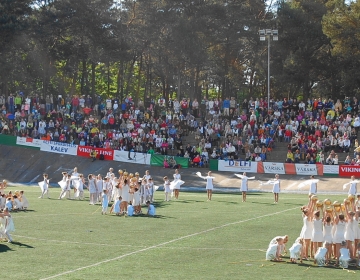 Tallinna XVI Võimlemispidu 1.juunil 2014