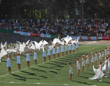 Tallinna XVI Võimlemispidu 1.juunil 2014