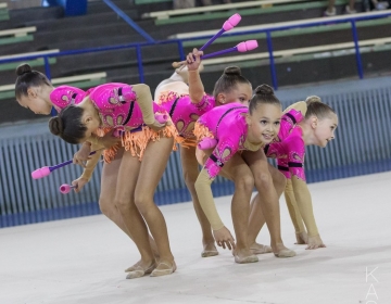 Pirueti lahtine turniir iluvõimlemise rühmkavades 2015