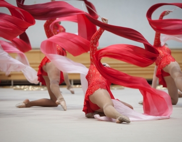 Gymnafest 2014 Põhja-Eesti eelvoor