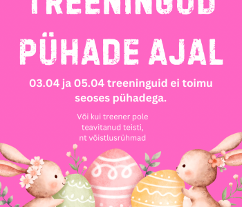 Treeningud pühade ajal